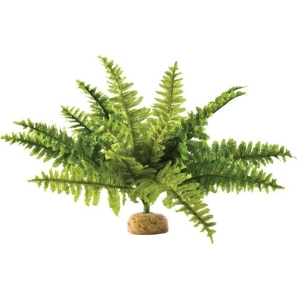 Exo Terra Boston Fern Terrarium Plant - Medium - 1 count