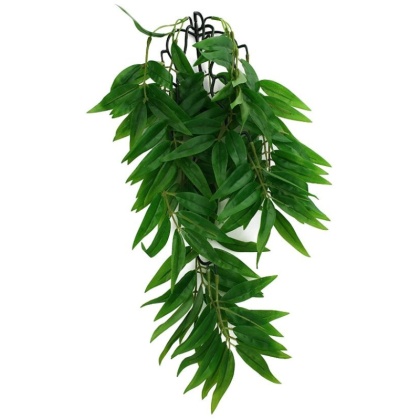 Komodo Bamboo Hanging Vine Terrarium Plant - Small - 1 count