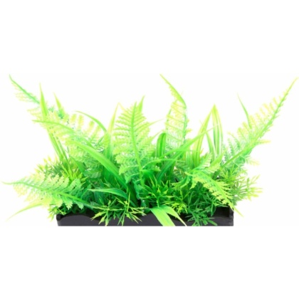 Penn Plax Ostrich Fern Bunch Plant 2\