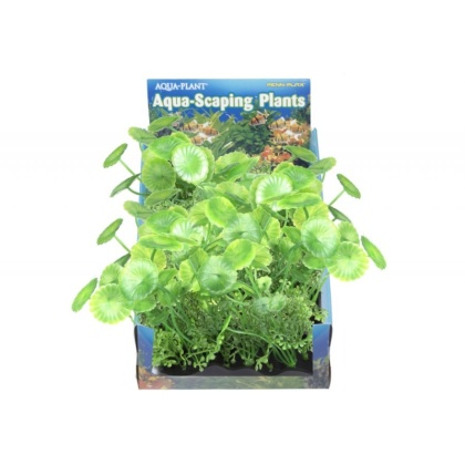 Penn Plax Pennywort Bunch Plant Medium - 1 count