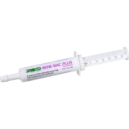 Pet Ag Zoologic Bene-Bac Plus Mammal Gel - 30g Syringe